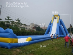 Giant Inflatable Hippo Slide