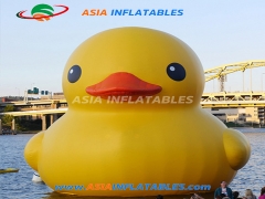 New Styles Custom Cute Inflatable Duck Cartoon For Pool Floating