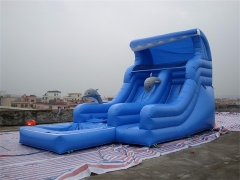 Inflatable Dolphin Water Slide