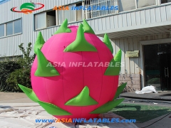 Inflatable Dragon Fruit