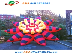  Inflatable Flower